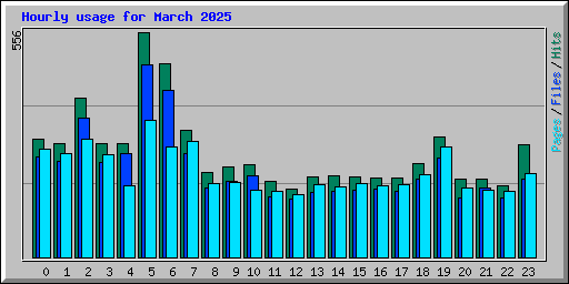 Hourly usage for March 2025